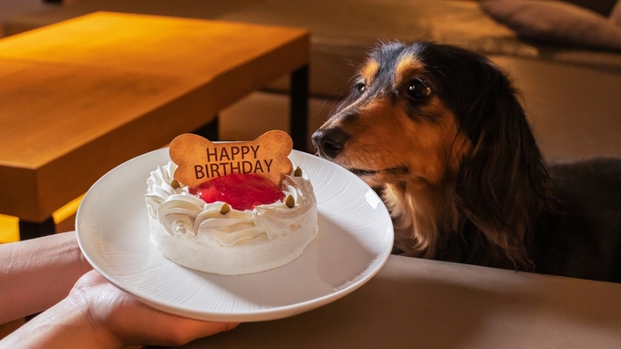 【Wonderful　Anniversary】愛犬と過ごす記念日〜ワンちゃんケーキ付（夕食：ウィズ）